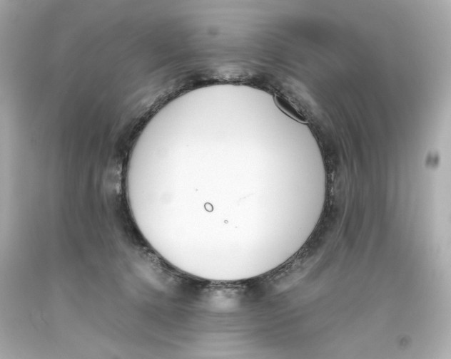 X0000093390368200711011316