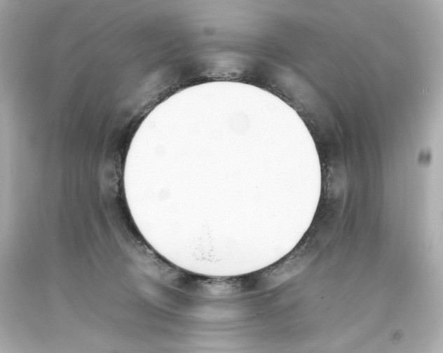 X0000093390370200711011316