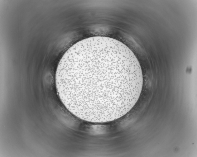 X0000093390371200711011316