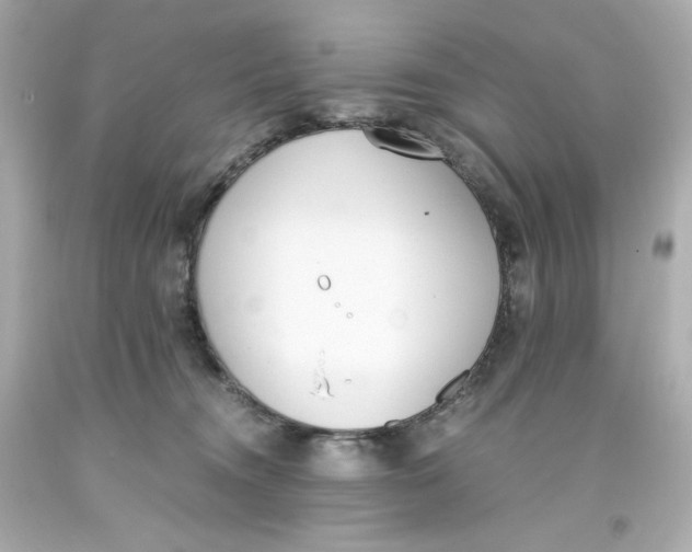 X0000093390372200711011316