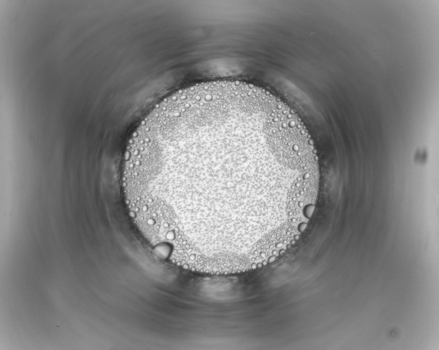 X0000093390373200711011316