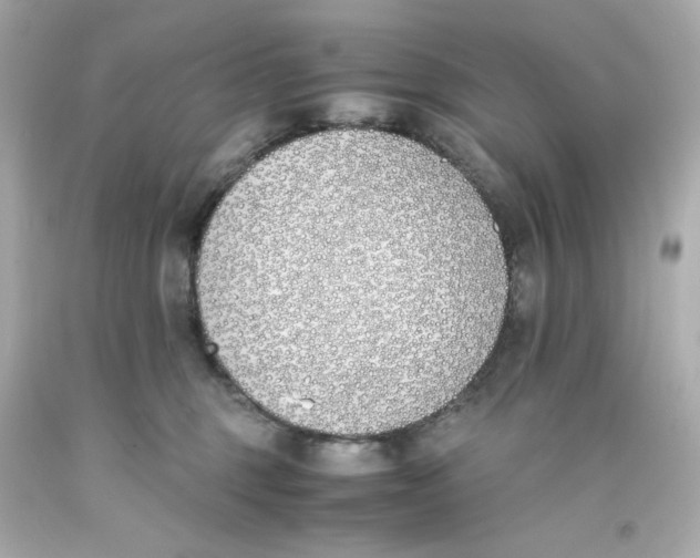 X0000093390375200711011316