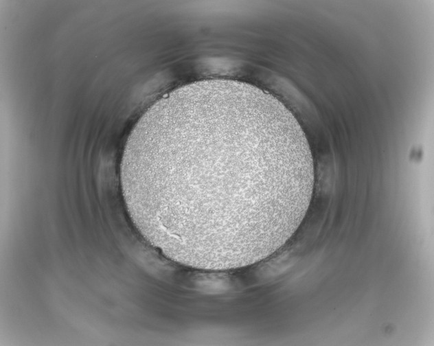 X0000093390377200711011316