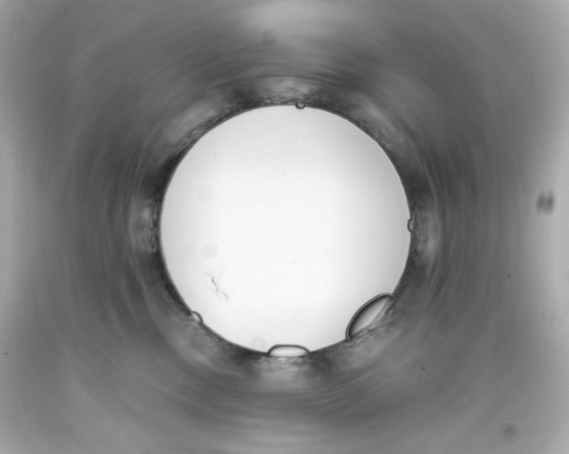 X0000093390378200711011316