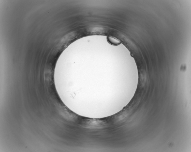 X0000093390379200711011316