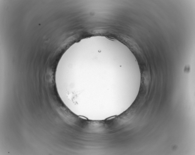 X0000093390380200711011316