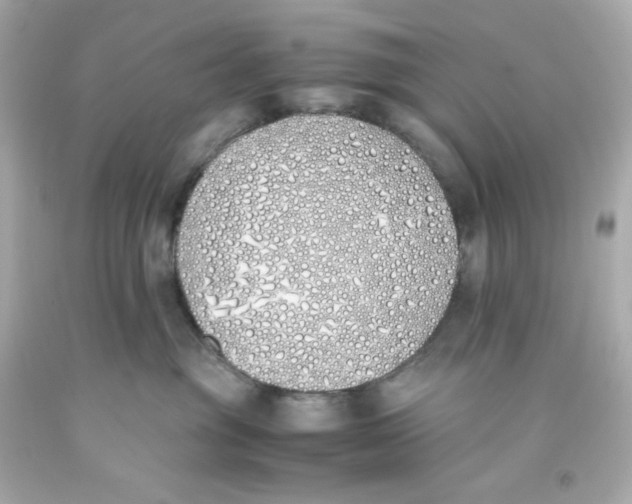 X0000093390381200711011316