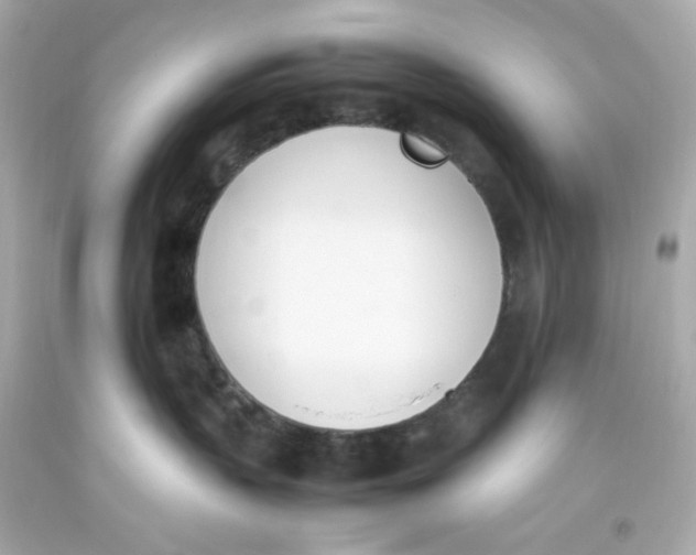 X0000093390383200711011316