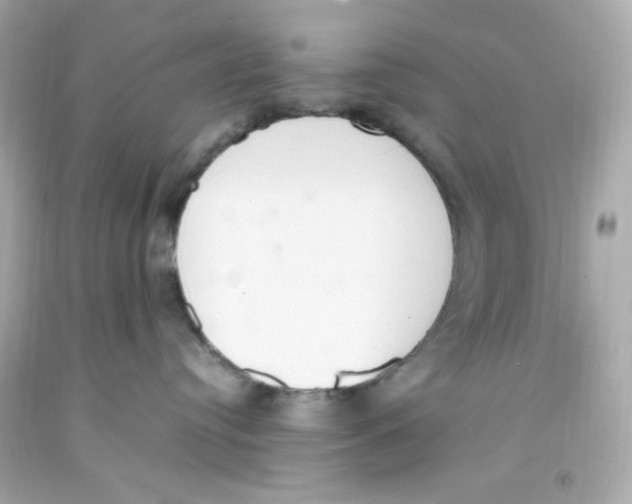 X0000093390384200711011316