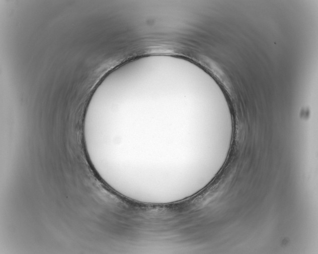 X0000093390385200711011315