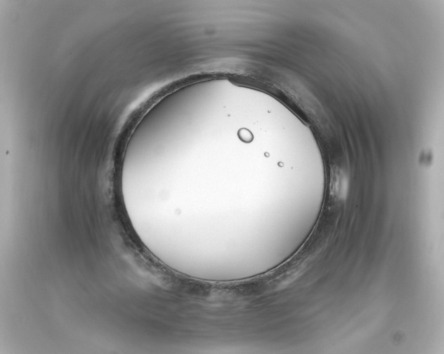 X0000093390388200711011315