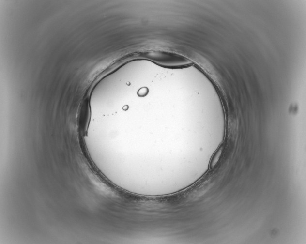 X0000093390389200711011315