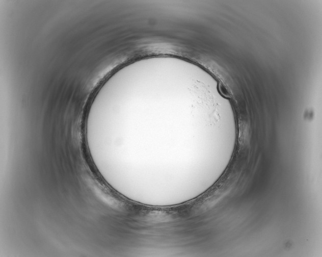 X0000093390390200711011315