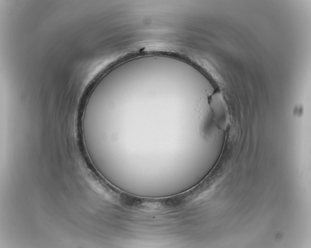 X0000093390391200711011315