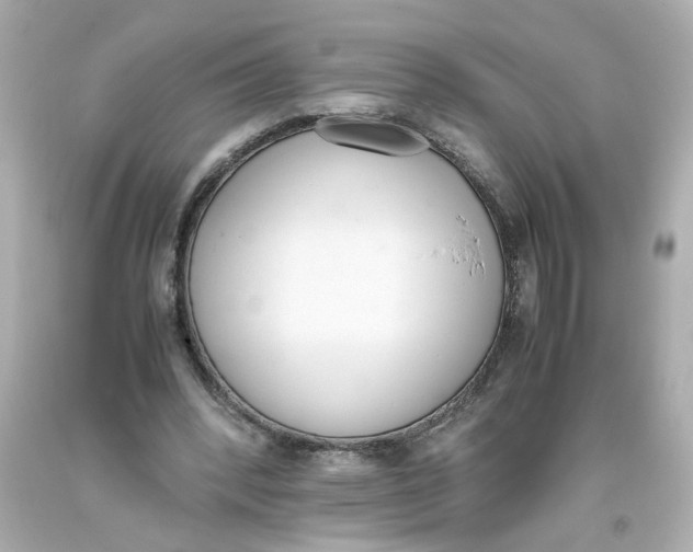 X0000093390392200711011315