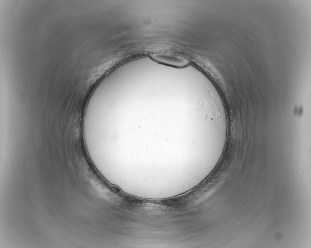 X0000093390393200711011315