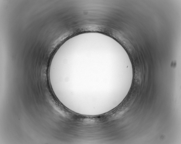 X0000093390394200711011315