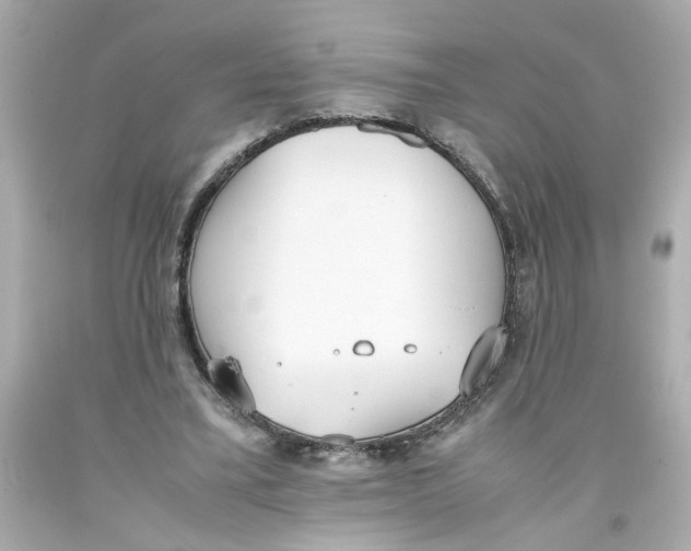 X0000093390395200711011315