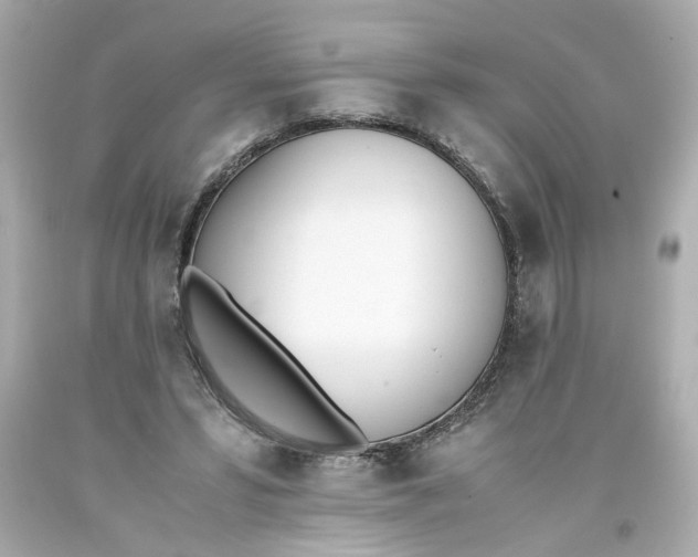 X0000093390399200711011315