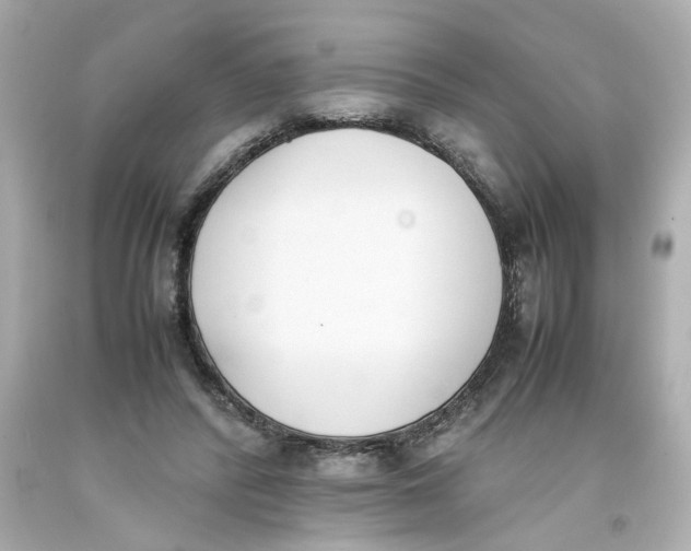 X0000093390400200711011315