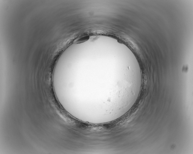 X0000093390401200711011315