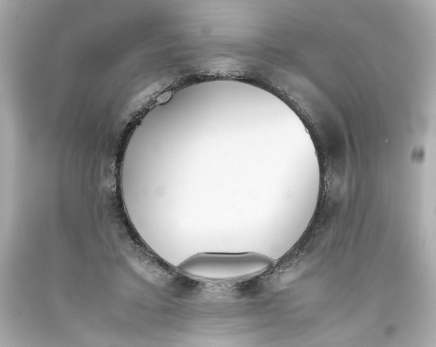 X0000093390403200711011315