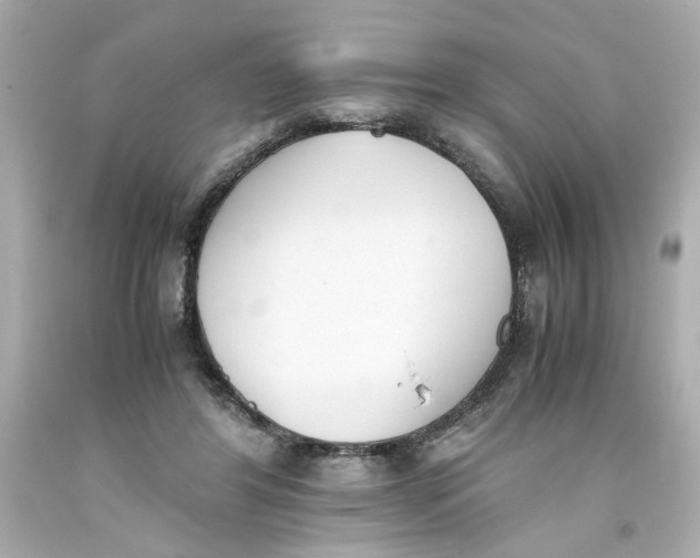 X0000093390404200711011315