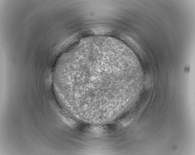 X0000093390405200711011315