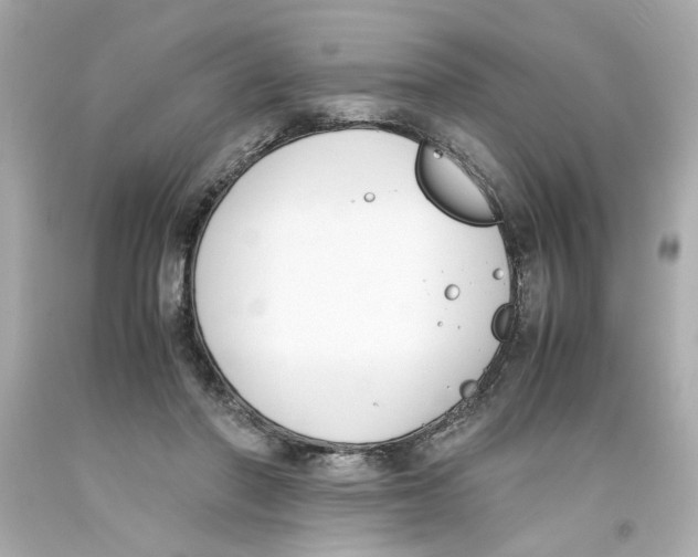 X0000093390406200711011315