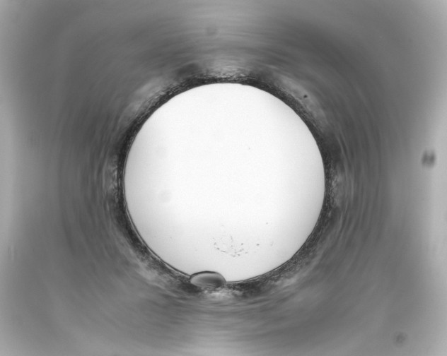 X0000093390407200711011315