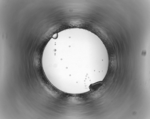 X0000093390408200711011315