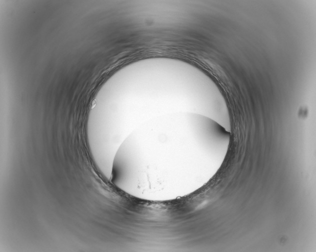 X0000093390409200711011315