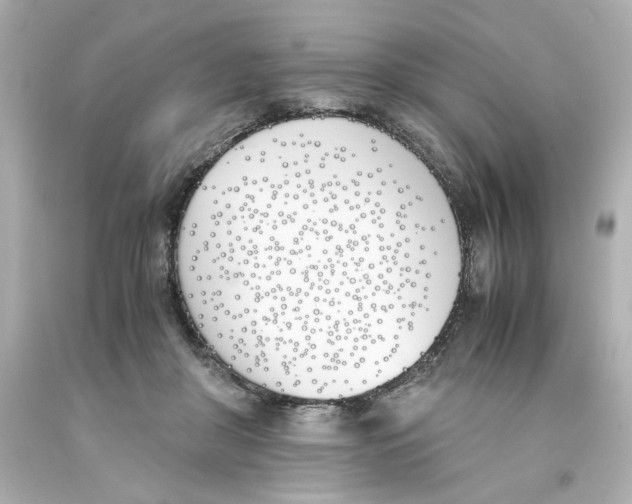 X0000093390410200711011315