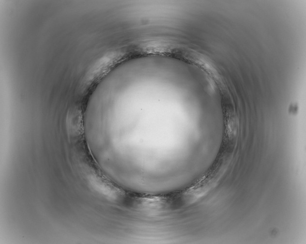 X0000093390411200711011315