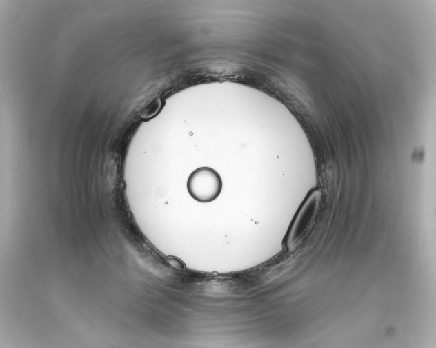 X0000093390412200711011315