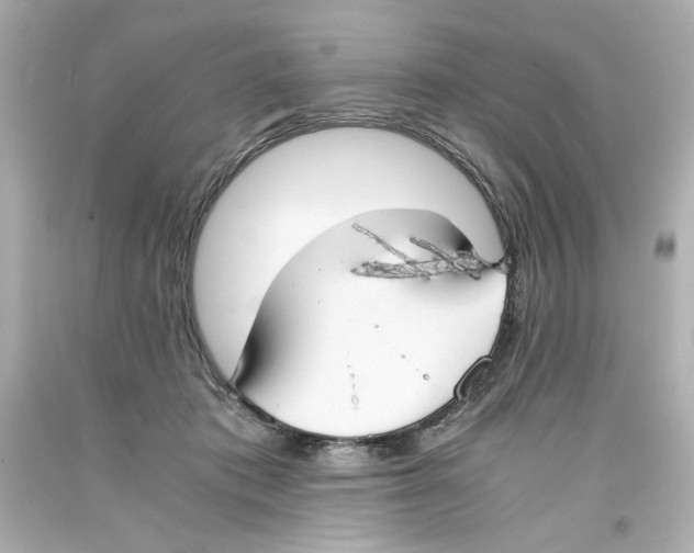 X0000093390413200711011315