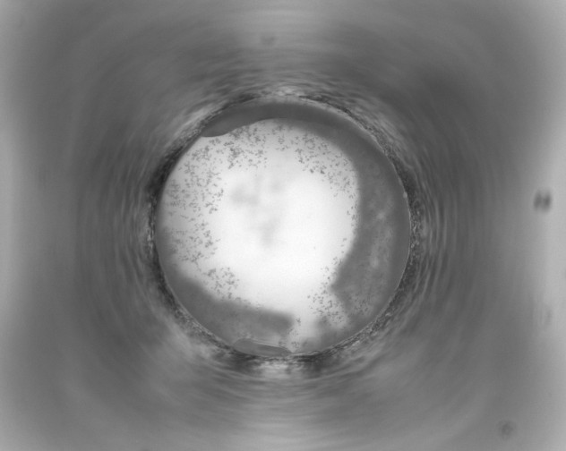 X0000093390415200711011315