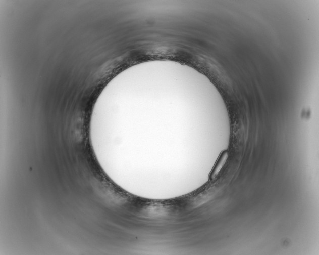 X0000093390416200711011315