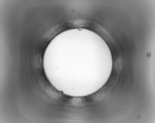 X0000093390418200711011315