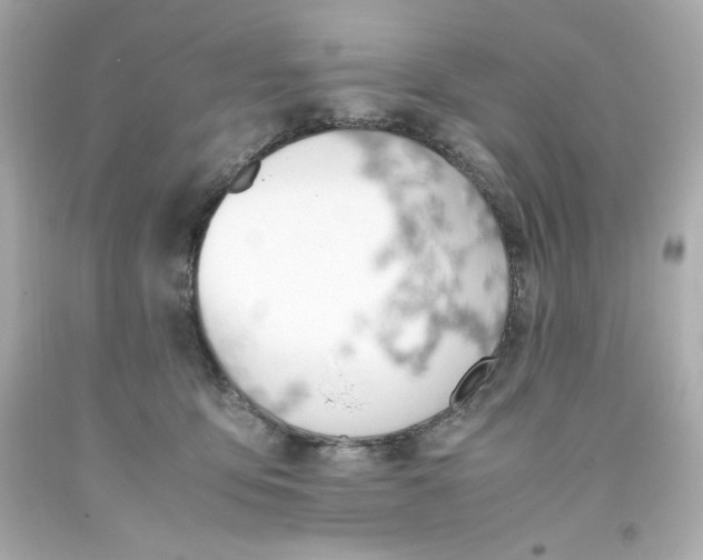 X0000093390419200711011315