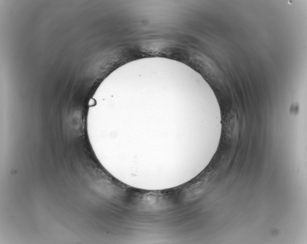 X0000093390420200711011315