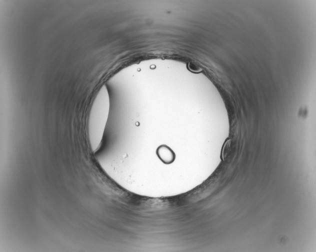 X0000093390421200711011315