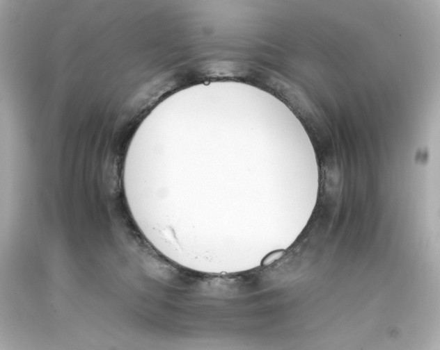 X0000093390422200711011315