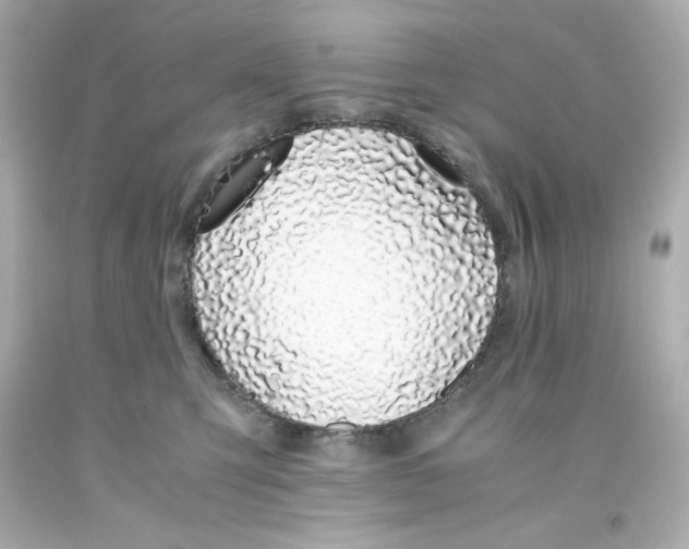 X0000093390423200711011315