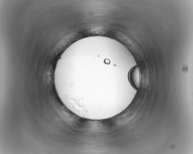 X0000093390424200711011315