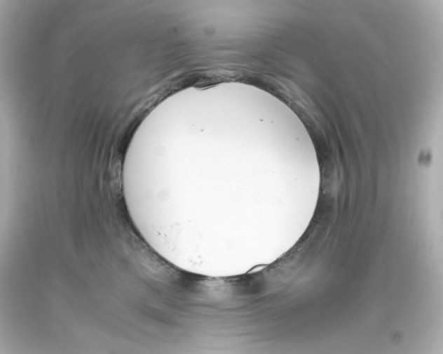 X0000093390425200711011315