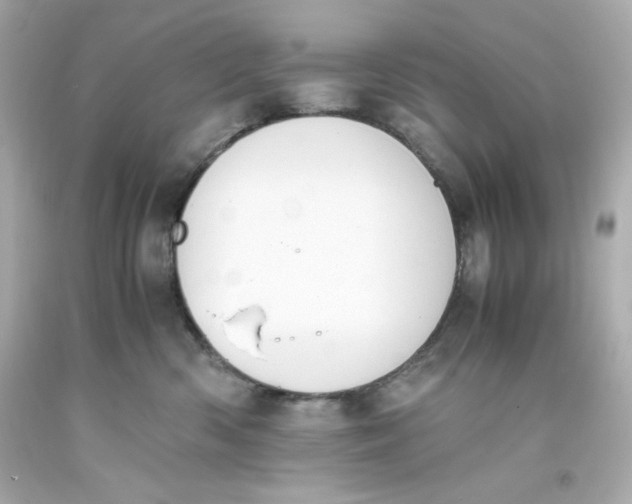 X0000093390426200711011315