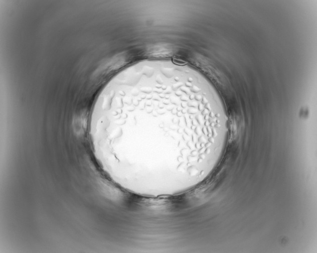 X0000093390427200711011315