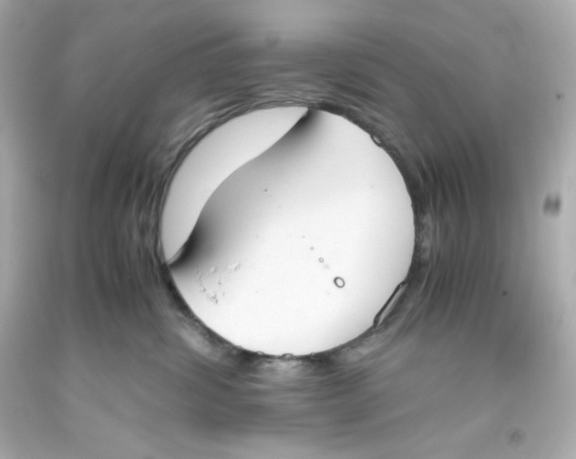 X0000093390428200711011315