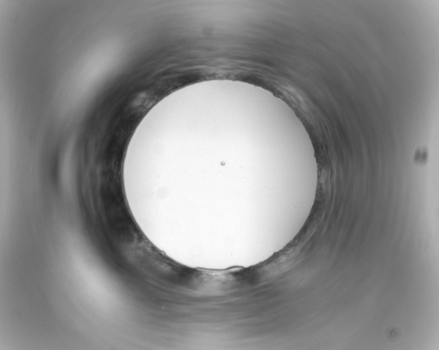 X0000093390429200711011315